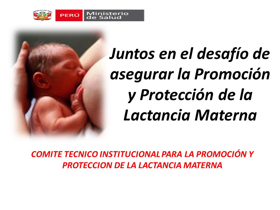 tecnicas de lactancia materna minsa